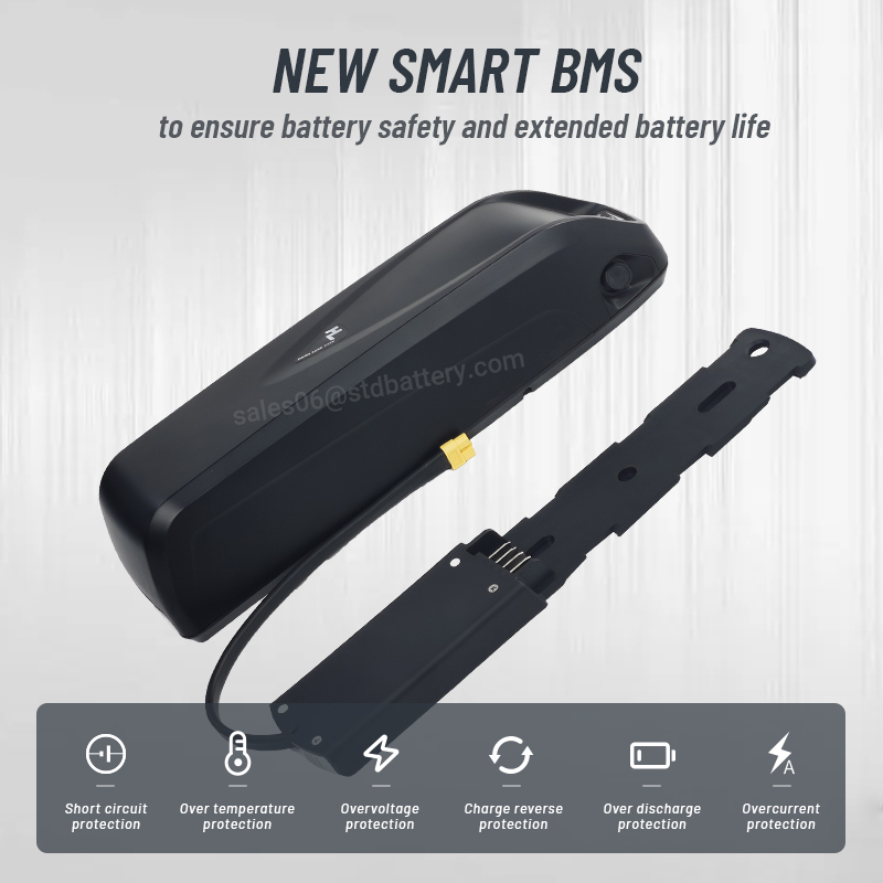 Hailong-batería para bicicleta - Ebike Battery 48V 20Ah Hailong reseña y precio